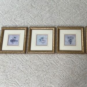 Fruit Prints Framed Set of 4 with Gold Toned Frames